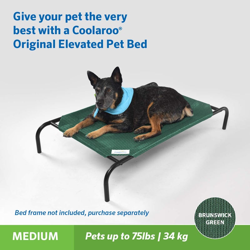 Coolaroo Original Pet Bed Replacement Cover - Brunswick Green - Medium (35" x 25.5") - Image 4